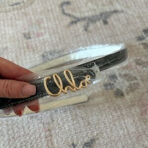 Black Belt with Gold Logo